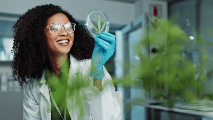 Empleo en Cannabis Alcanza 440,000 en 2024 Impulsando la Economía